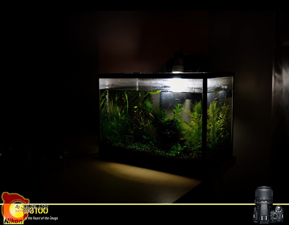 f20110505230521.jpg