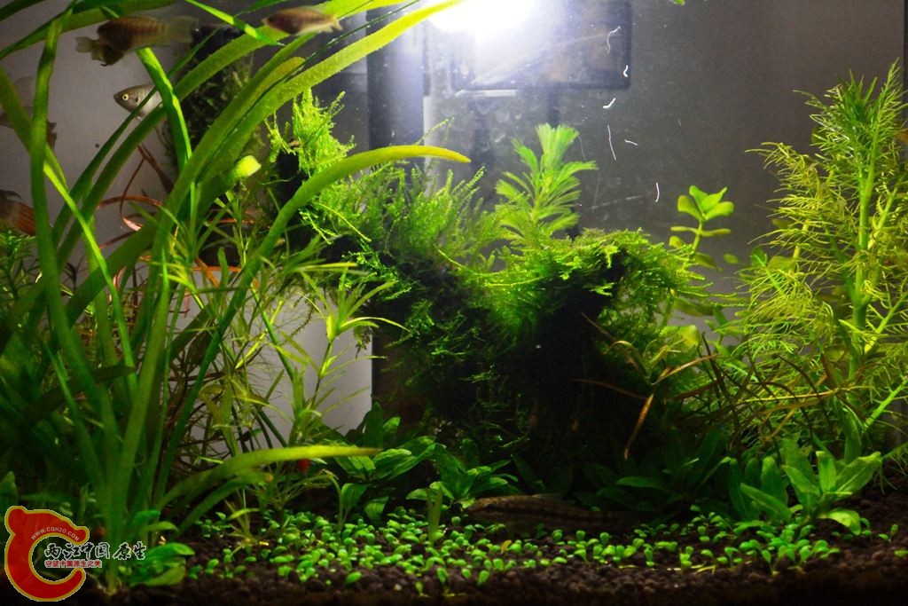20110505230236.jpg