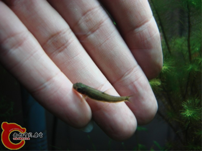 DSC04606_副本.jpg