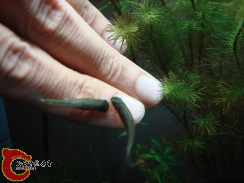 DSC04610_副本.jpg