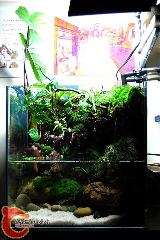 DSC_0286_副本.jpg