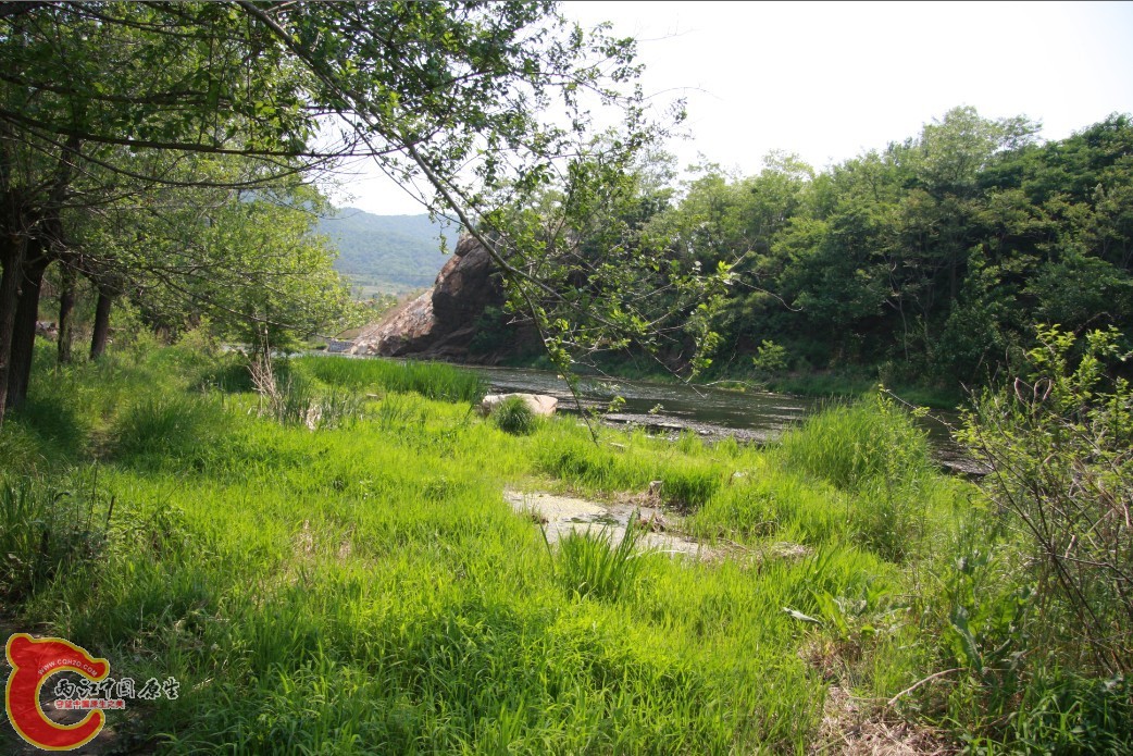 05.jpg