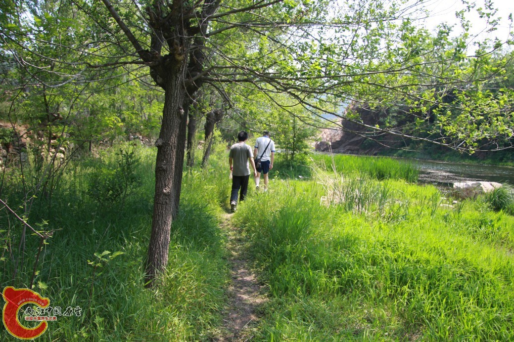08.jpg