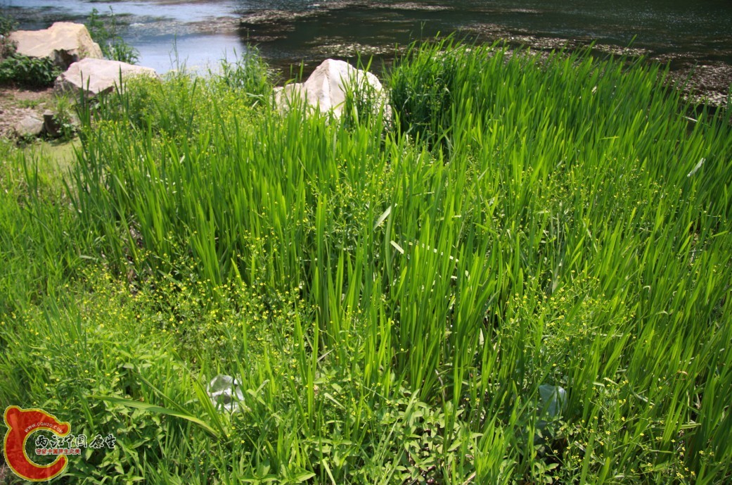 09.jpg