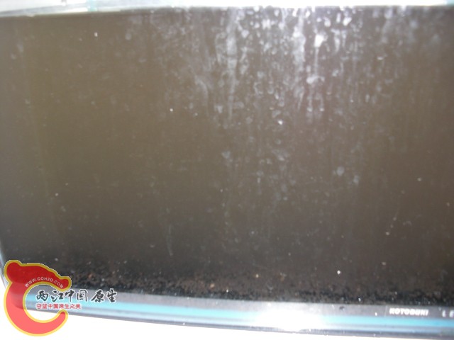 CIMG0746.JPG