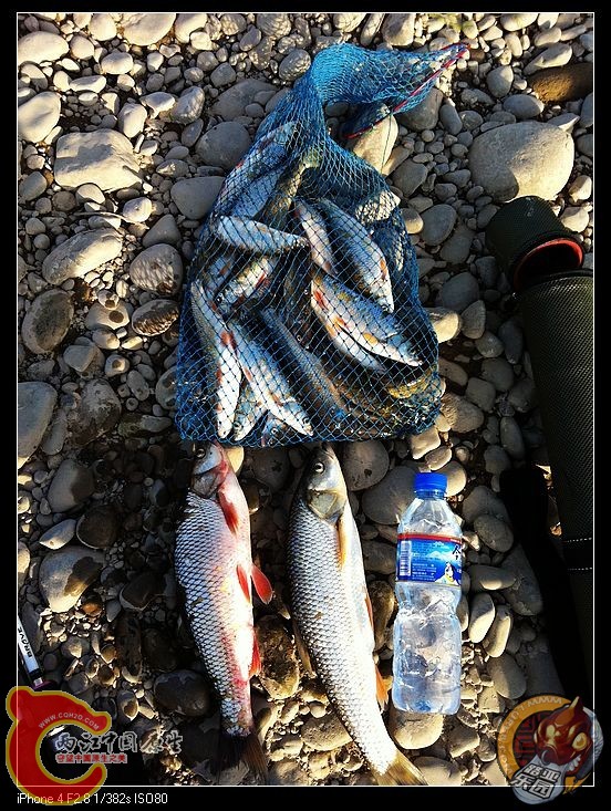 nEO_IMG_照片 164.jpg