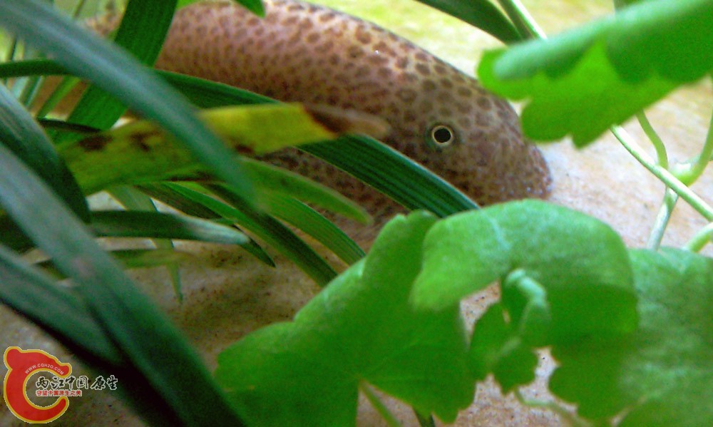 IMAG0438.jpg