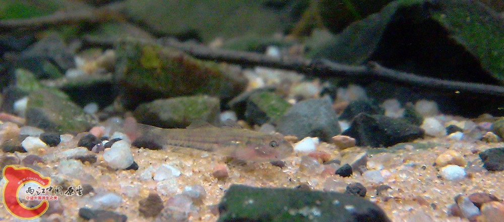 IMAG0443.jpg