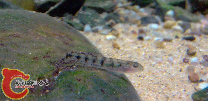 IMAG0445.jpg