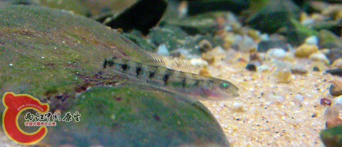 IMAG0446.jpg