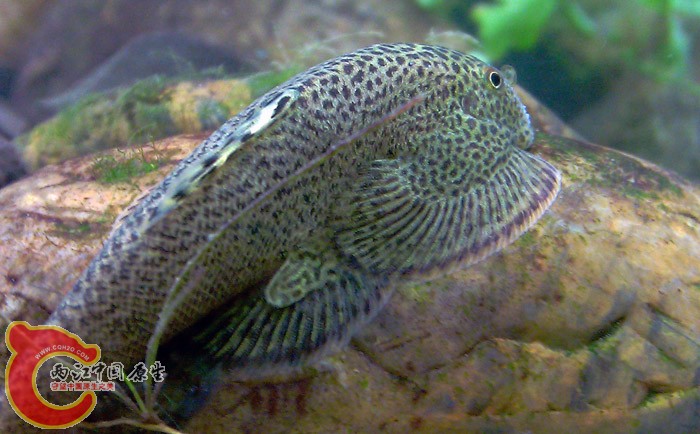 IMAG0450.jpg