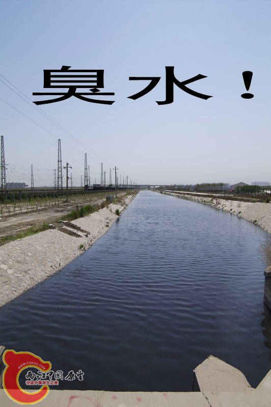 _IGP4051_conew1.jpg