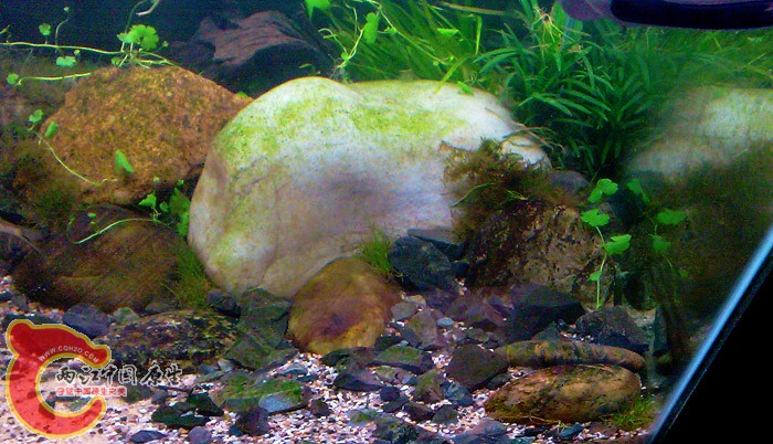 IMAG0463.jpg