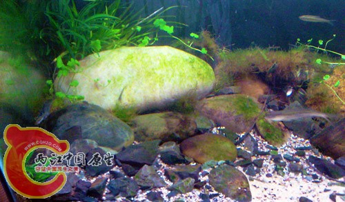 IMAG0464.jpg