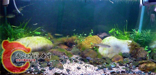 IMAG0465.jpg