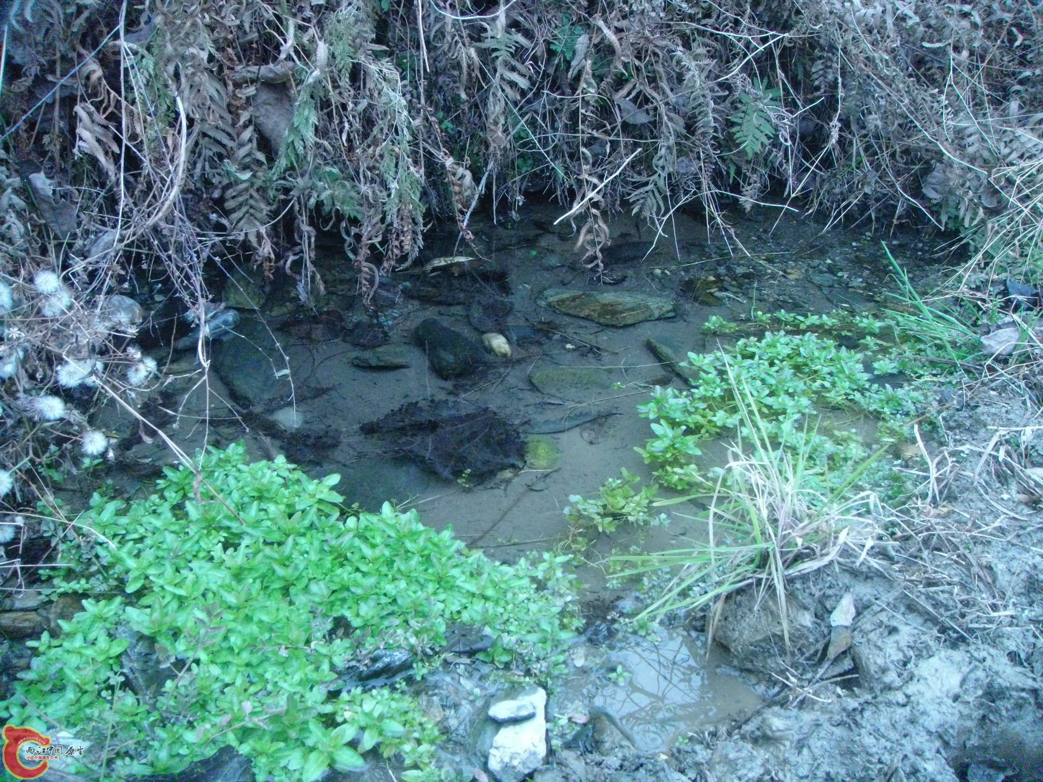 DSC04055.JPG