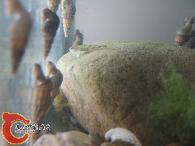 test1 365.jpg