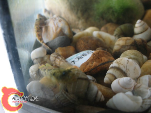 test1 377.jpg