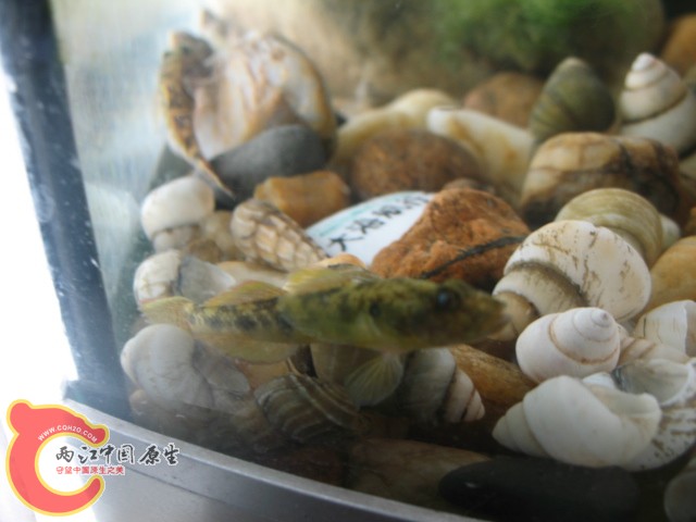test1 380.jpg