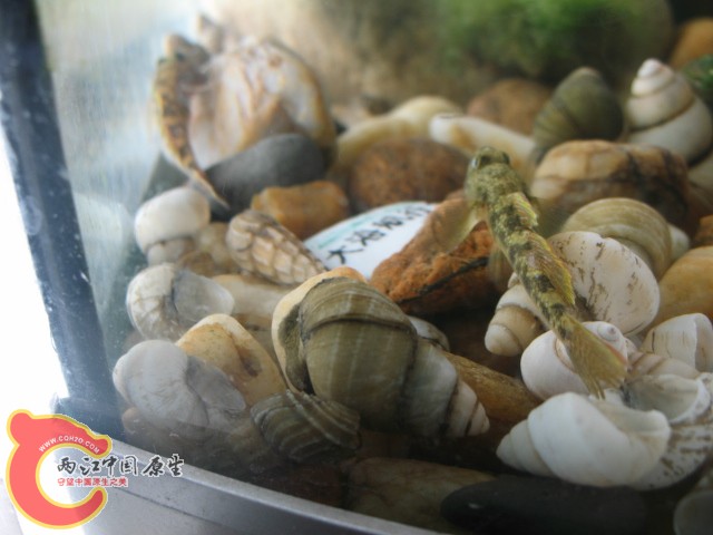 test1 383.jpg