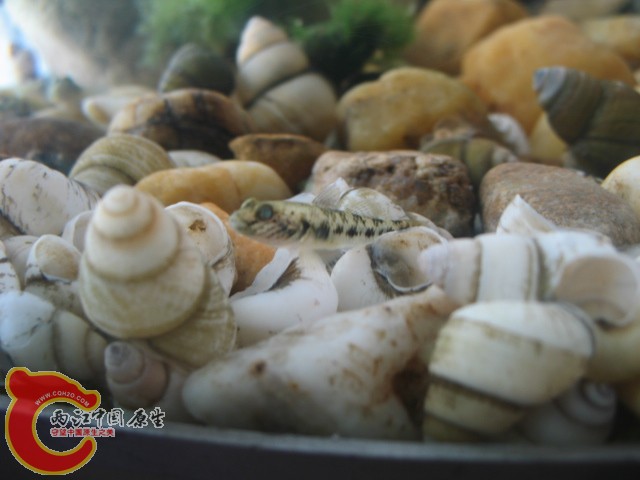 test1 387.jpg