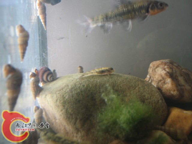 test1 395.jpg