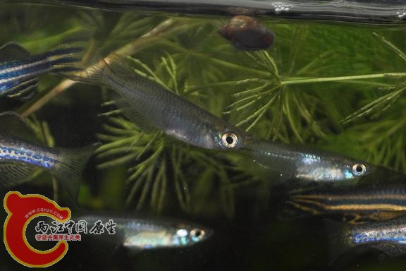 CSC_0858.JPG
