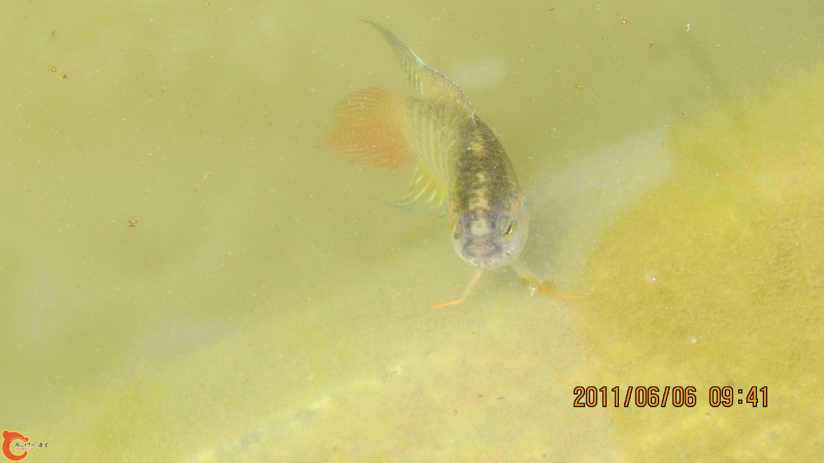 照片 093_调整大小.jpg