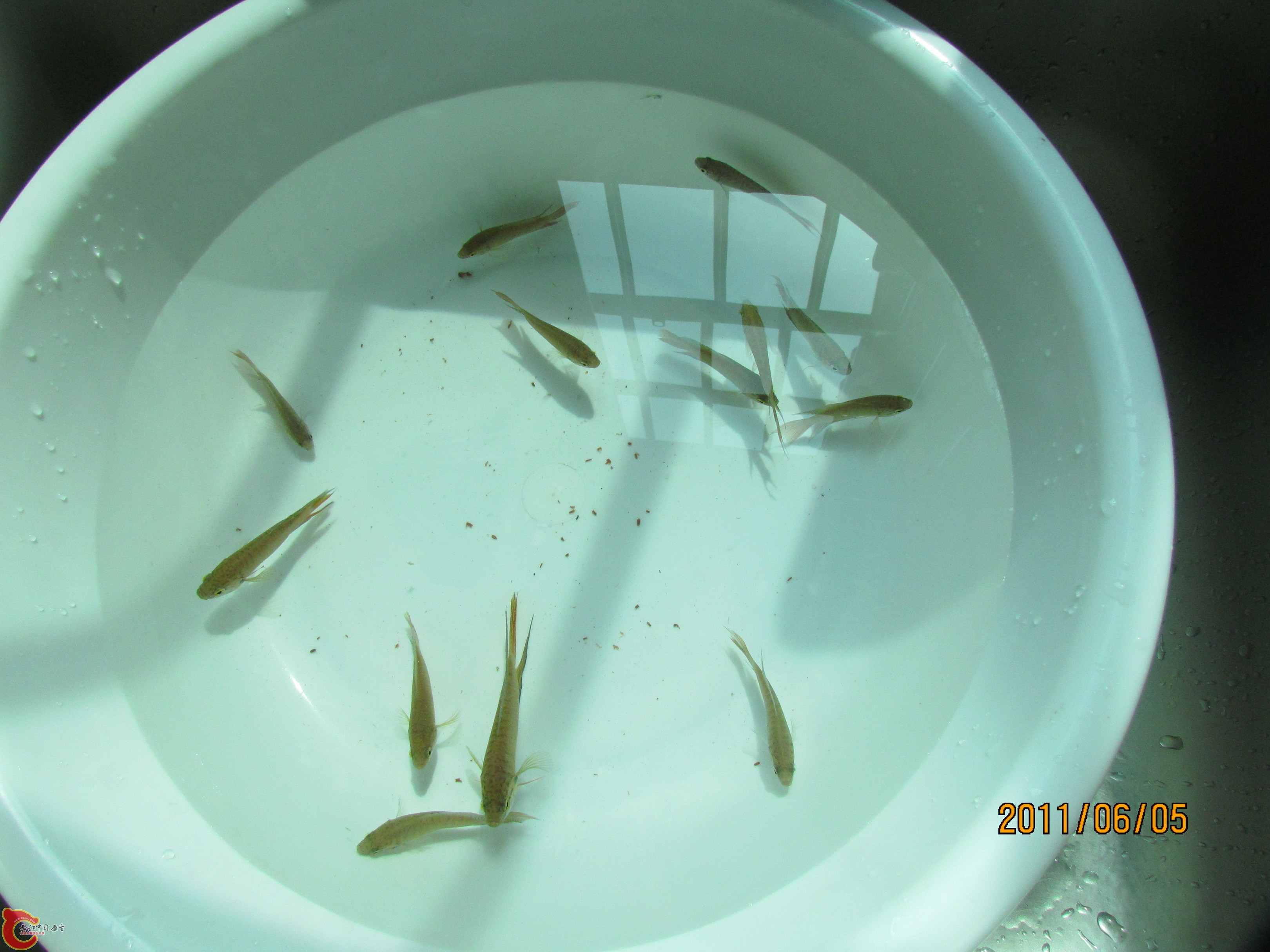 照片 051_调整大小.jpg