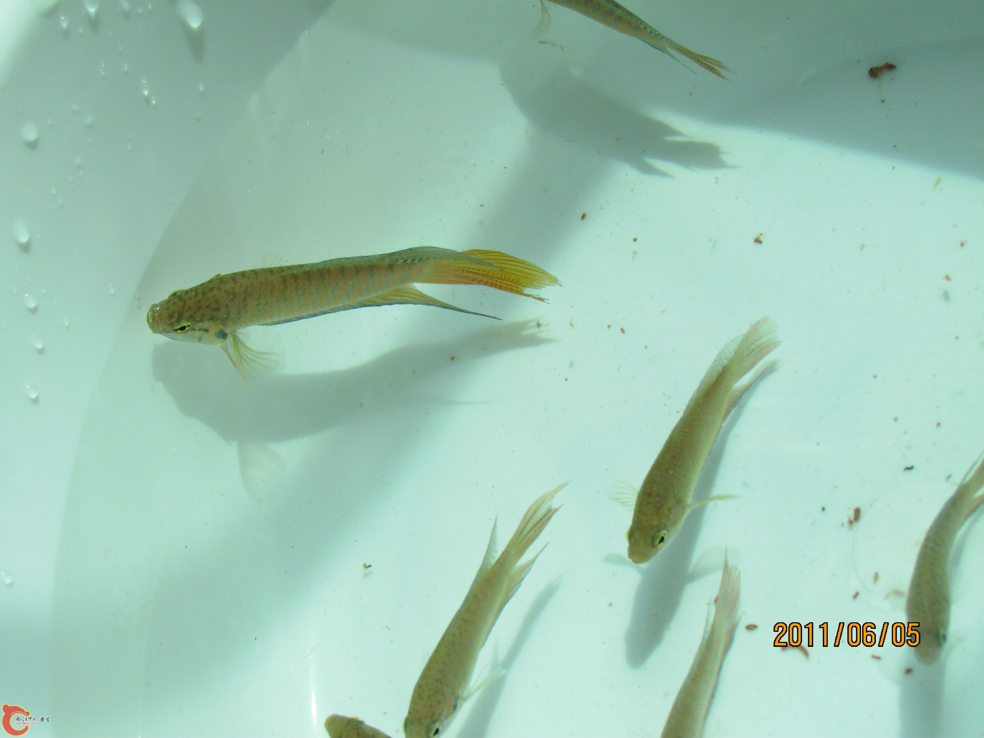 照片 060_调整大小.jpg