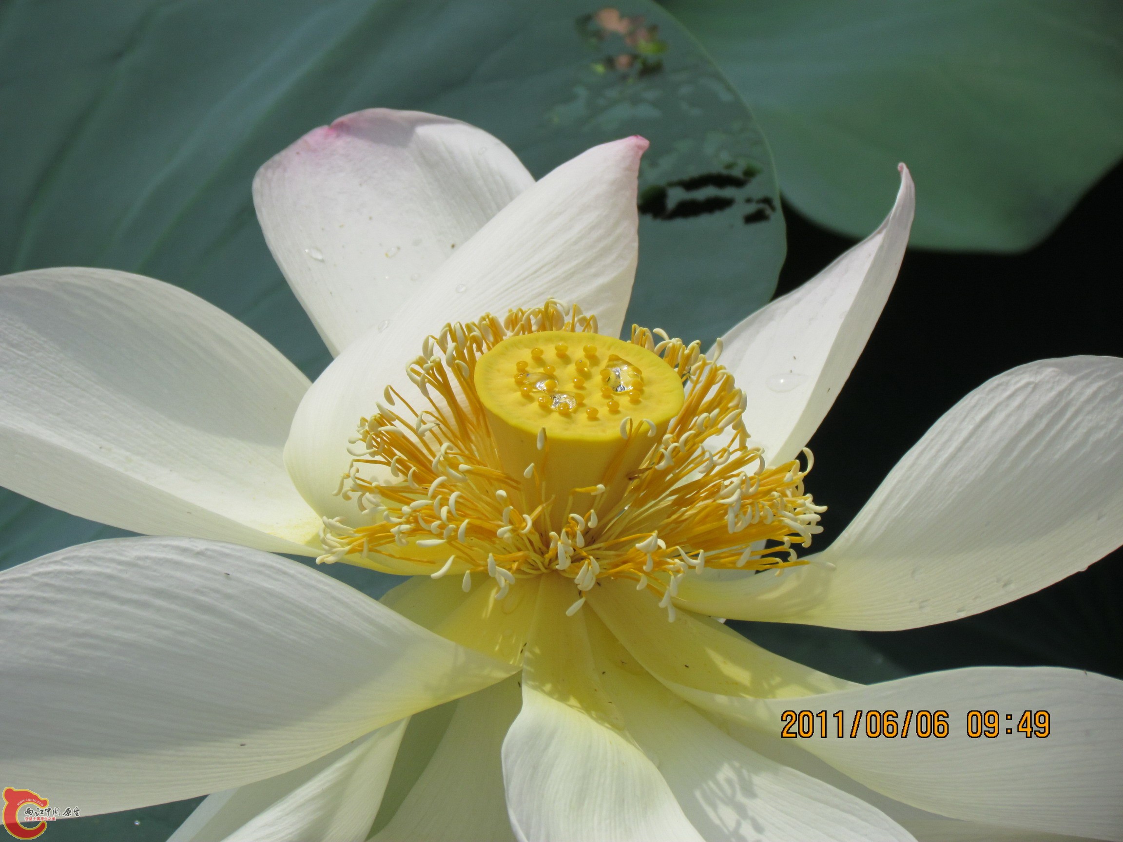 照片 107_调整大小.jpg