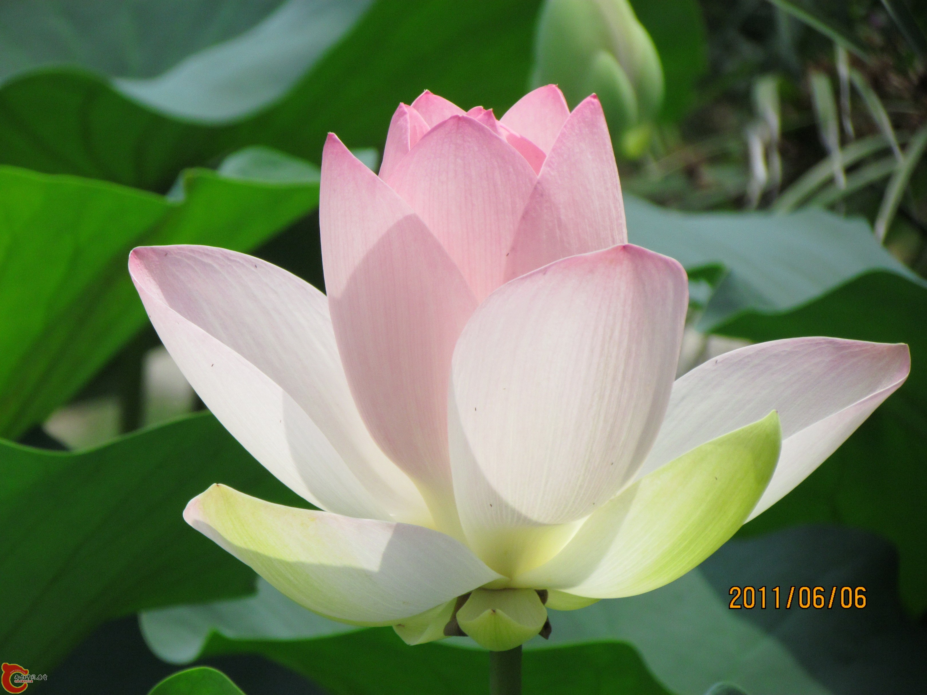 照片 118_调整大小.jpg