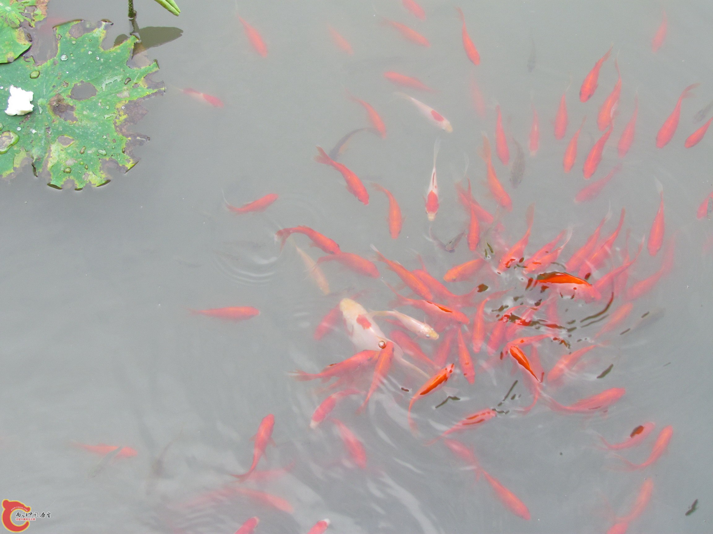 照片 123_调整大小.jpg