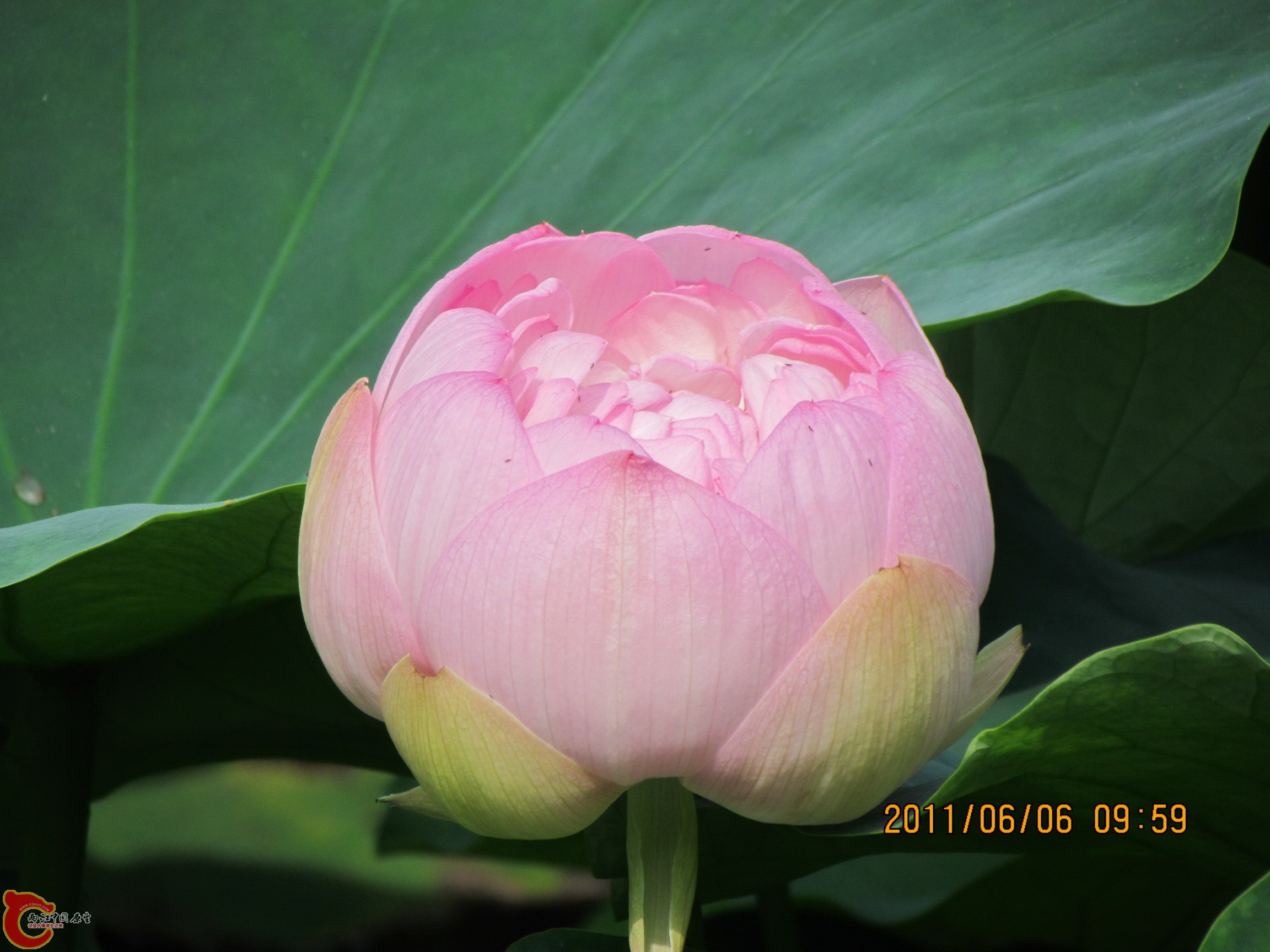 照片 135_调整大小.jpg