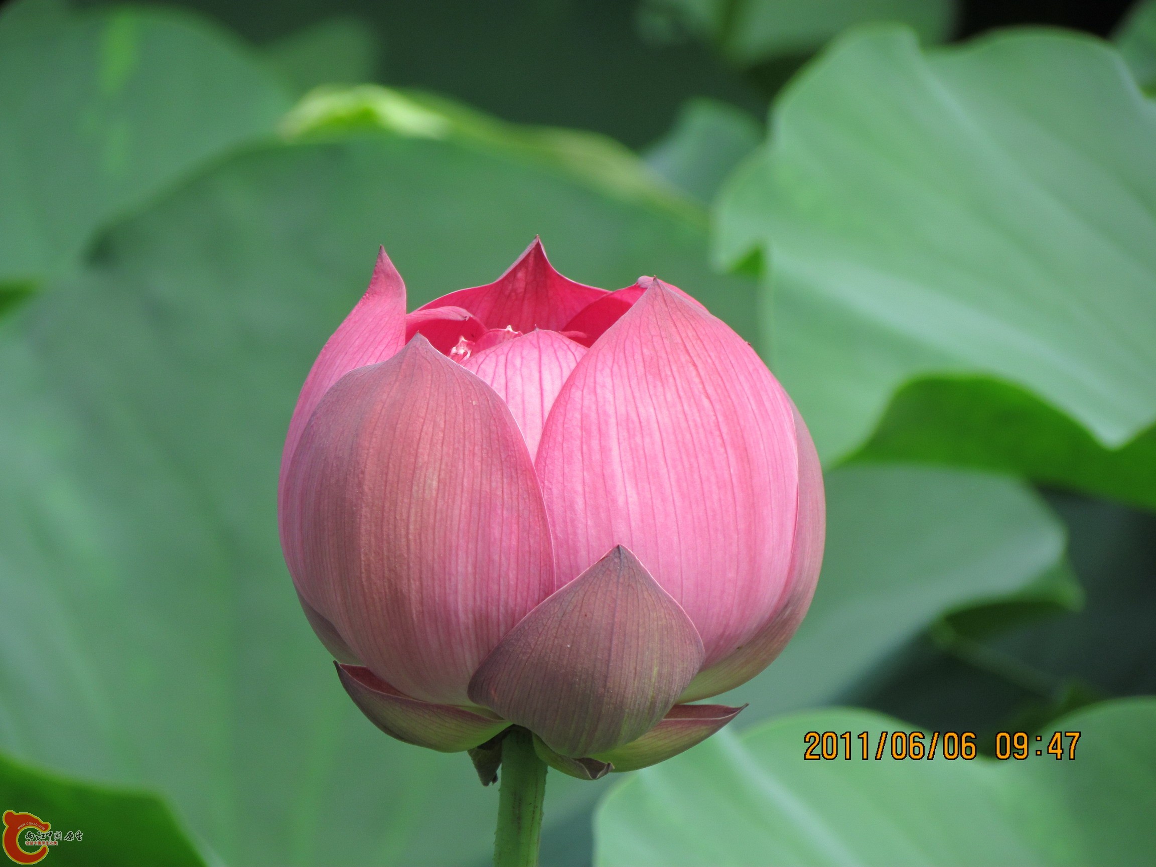 照片 102_调整大小.jpg