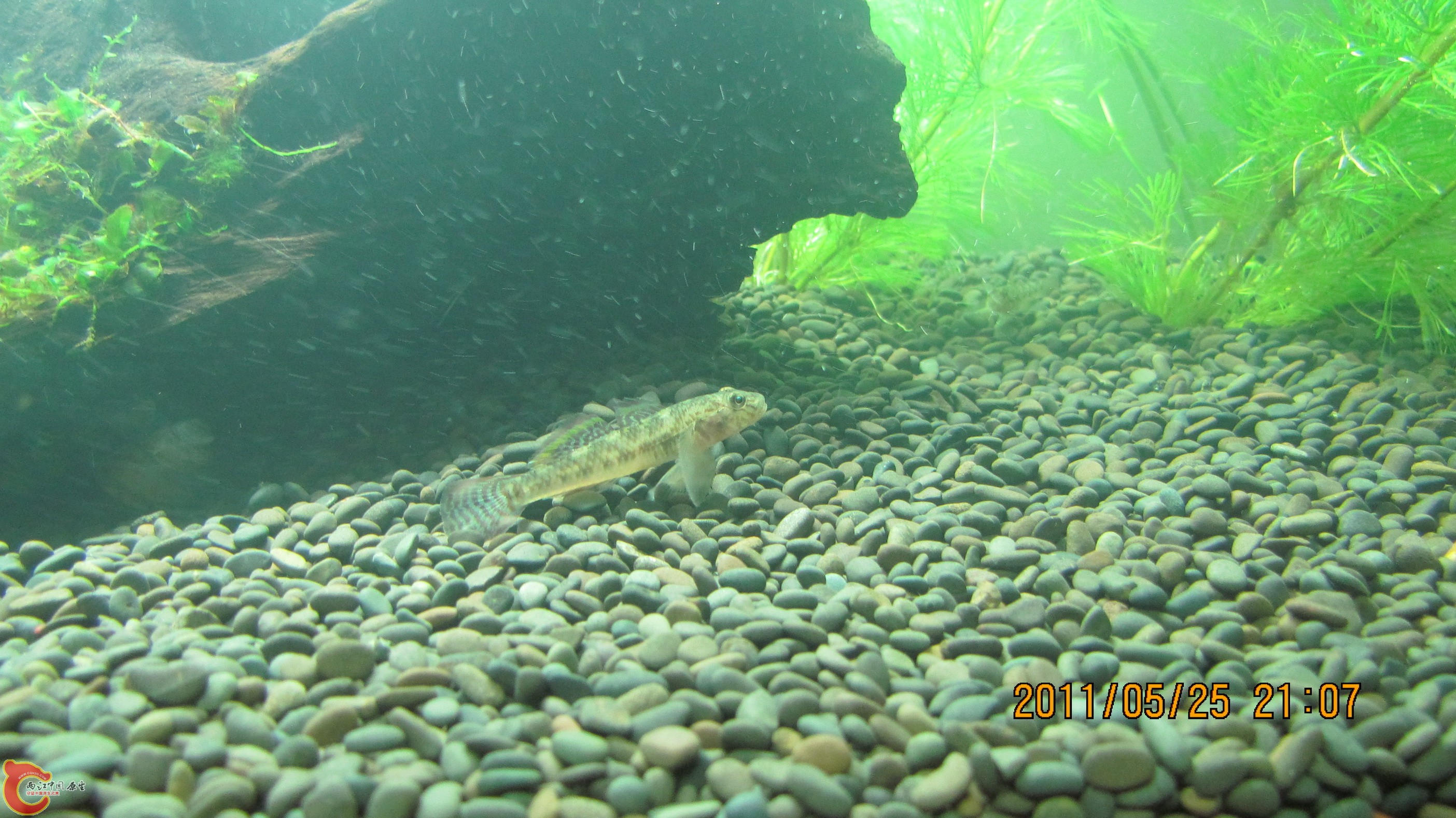 照片 017_调整大小.jpg