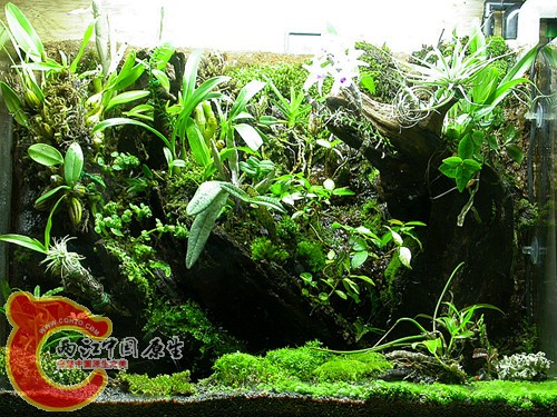 全景-2011.06.06.jpg