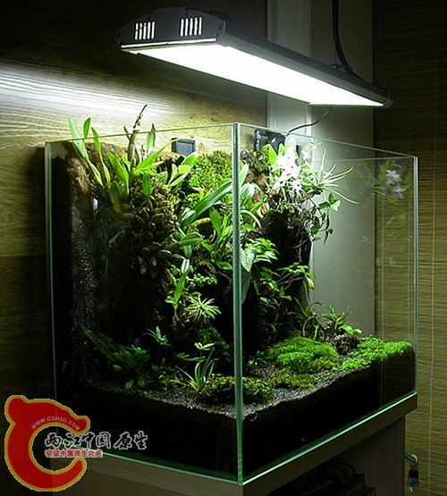 侧面-2011.06.06-1.jpg