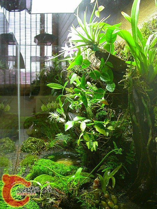 侧面-2011.06.06-2.jpg