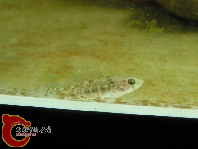DSCF0725.jpg