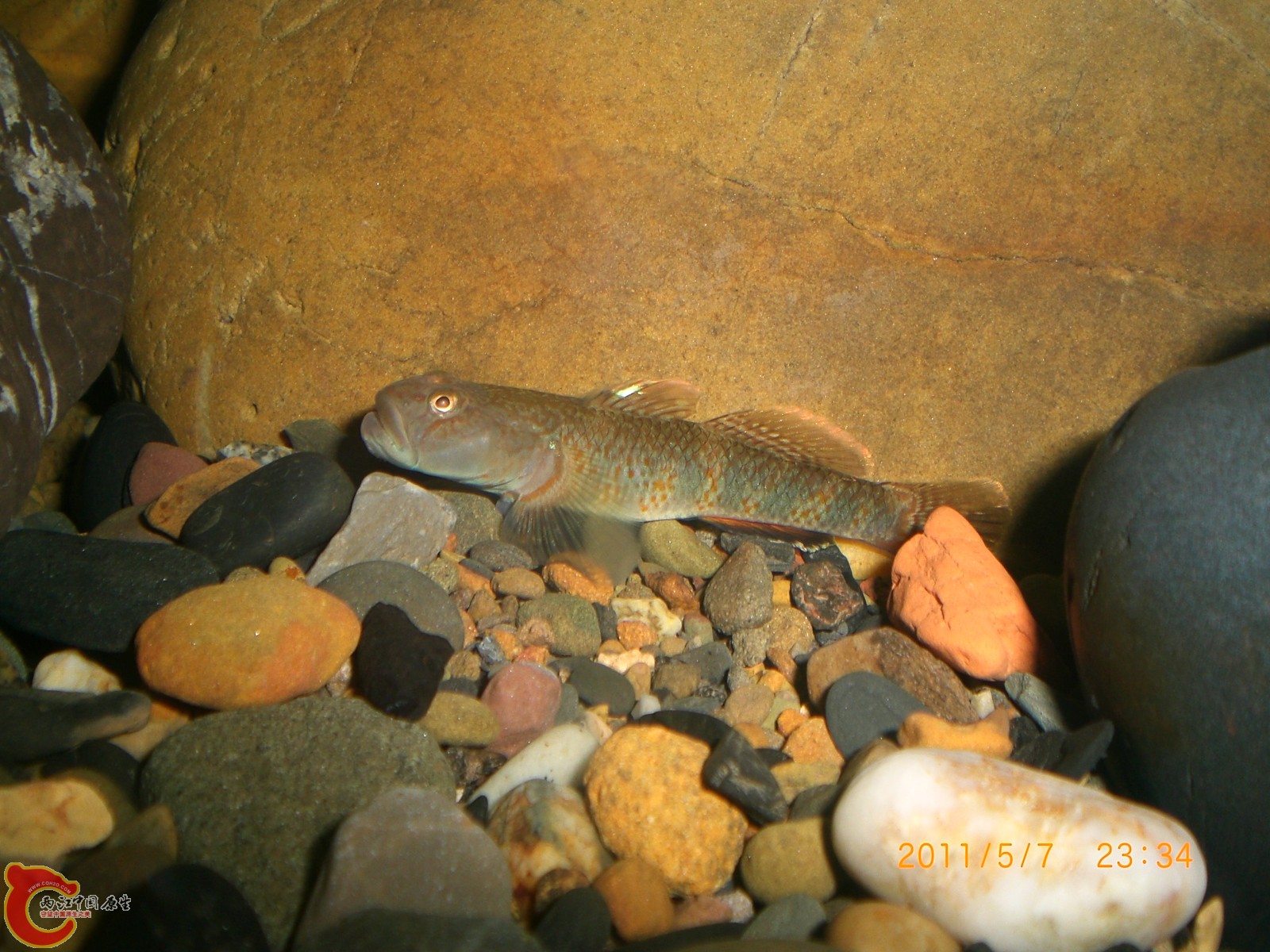 CIMG6047.JPG