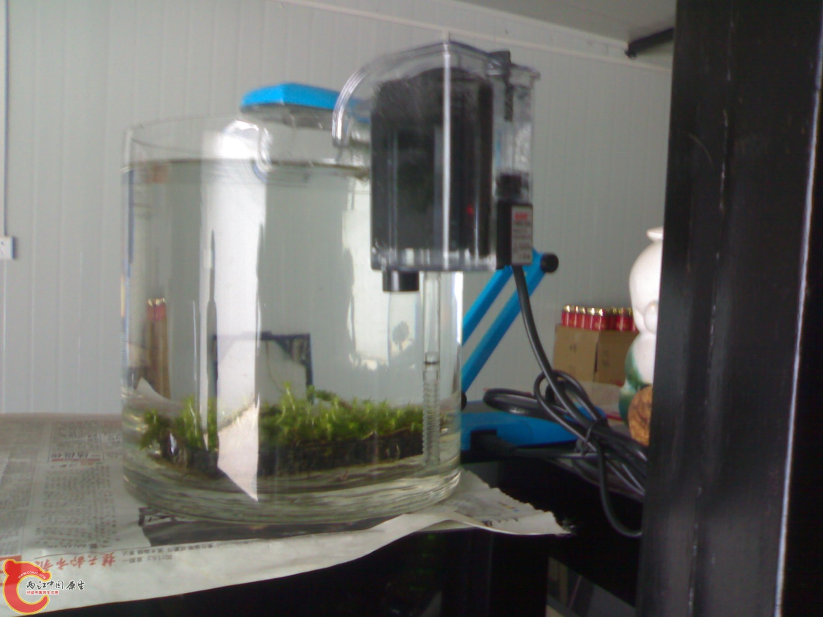 20110607168.jpg