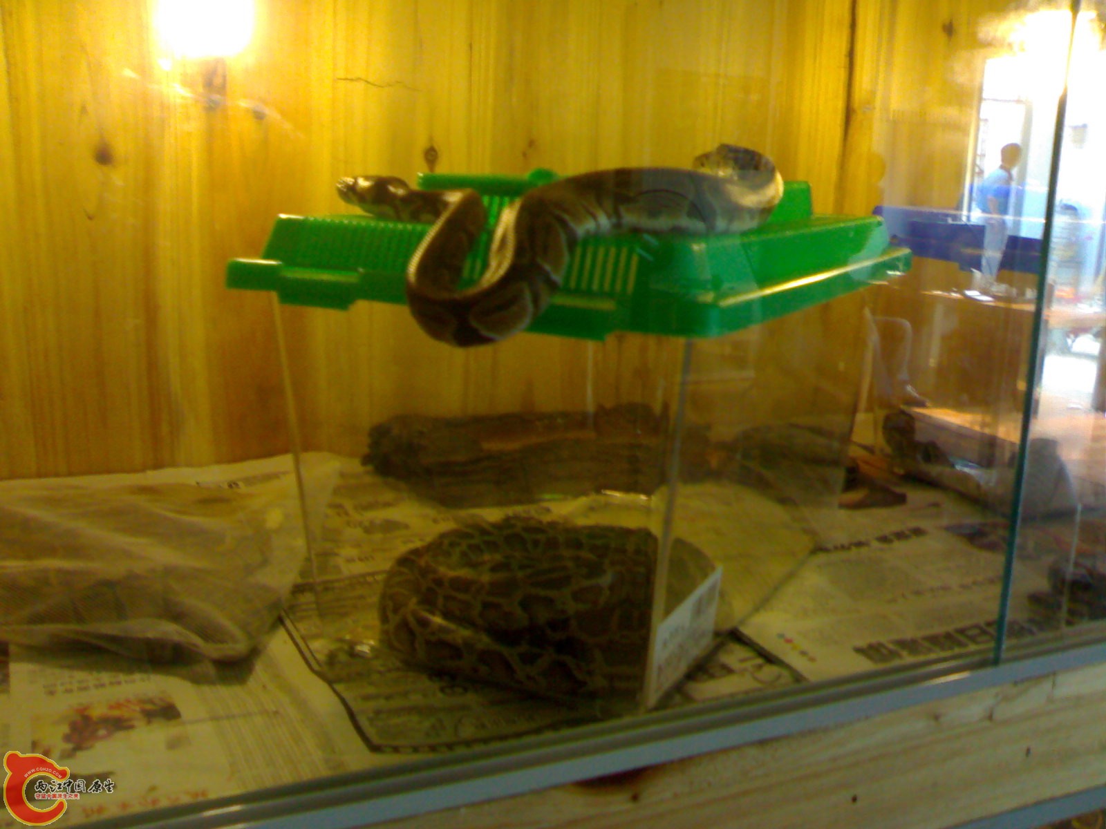 20110607174.jpg