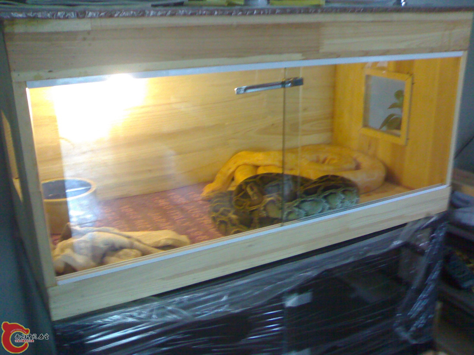 20110607183.jpg