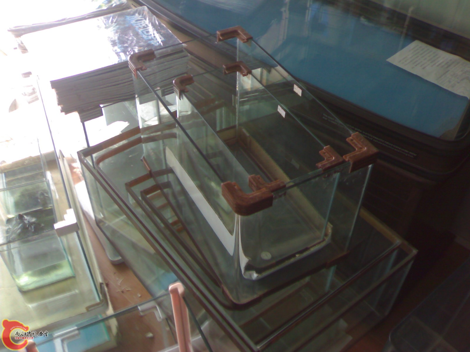 20110607204.jpg