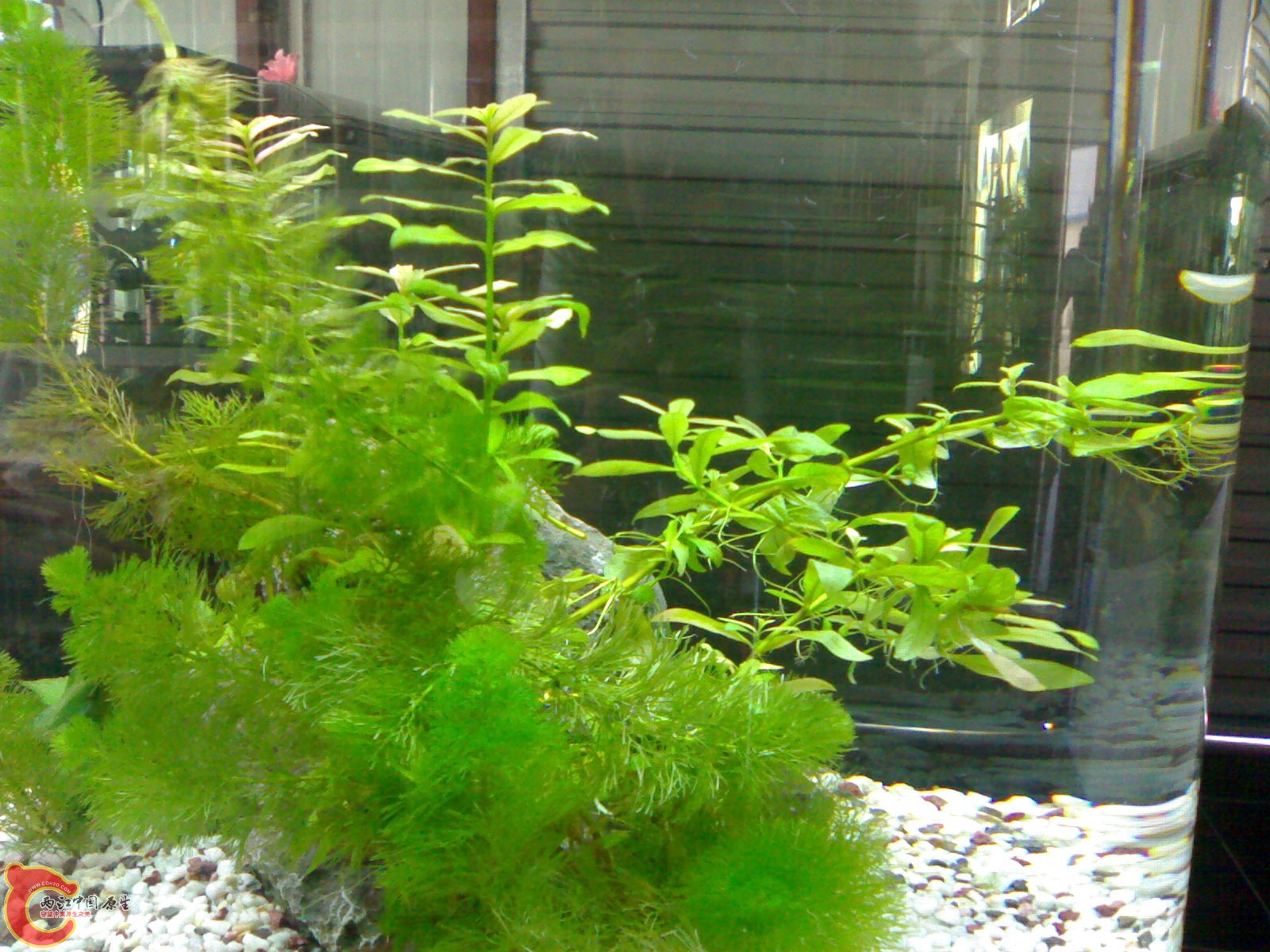 20110607206.jpg