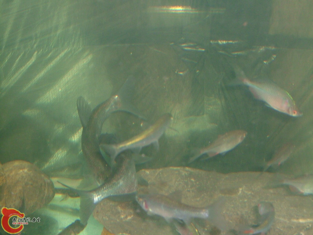 DSCF0357.JPG