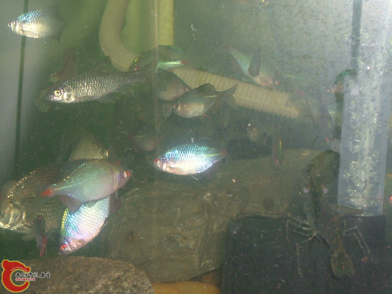 DSCF0373.JPG