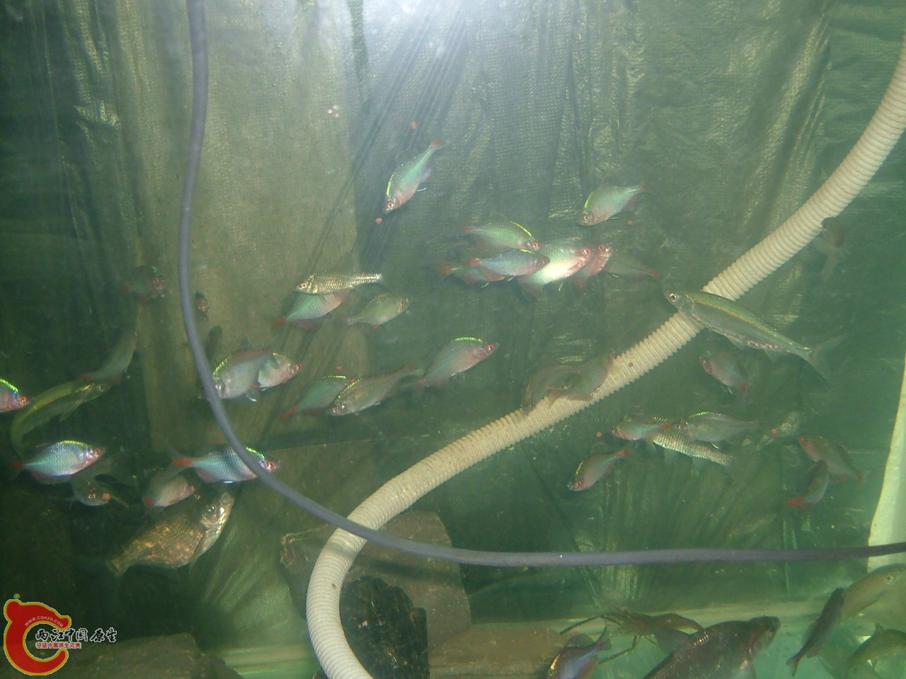 DSCF0389.JPG