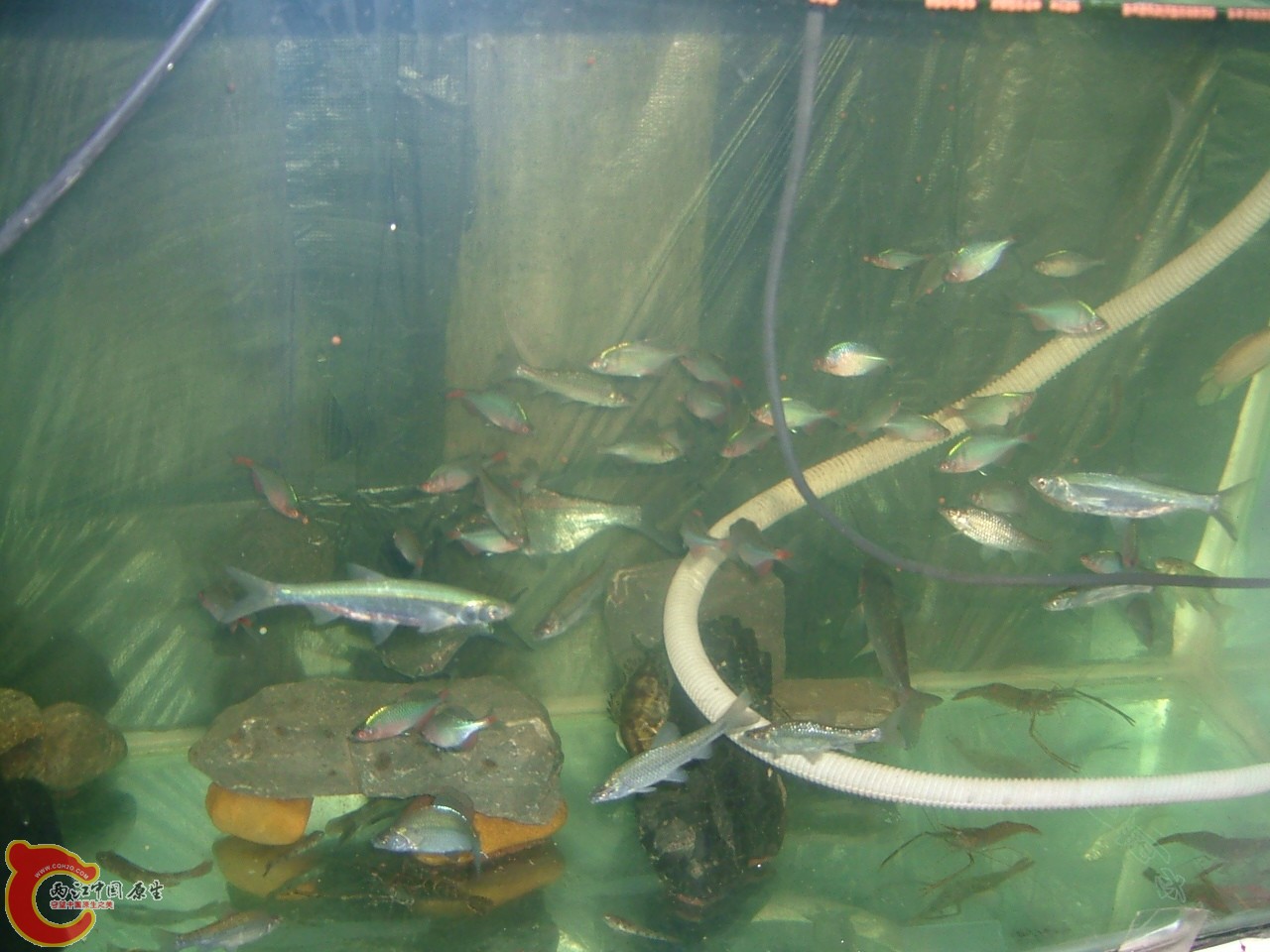 DSCF0390.JPG